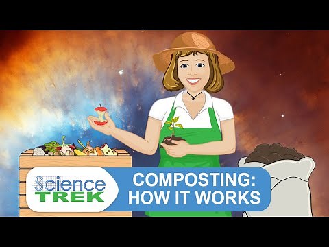 Composting: How It Works | Science Trek
