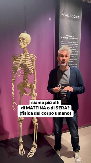 Abbiamo sempre la stessa altezza oppure questa cambia durante il giorno? È una questione di fisica #lafisicachecipiace #fisica #ilprofchecipiace #scuola #instateacher #physics #università | La Fisica Che Ci Piace