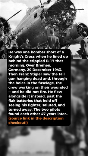One Kill From the Medal — and He Didn't Fire #short #history #ww2
