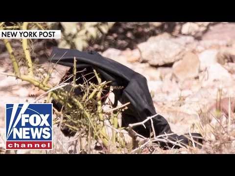 Forensic DNA expert breaks down the steps to test DNA in Guthrie search