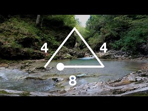 Guided Triangle Breathing Exercise - Empty Lung Holds Level 1