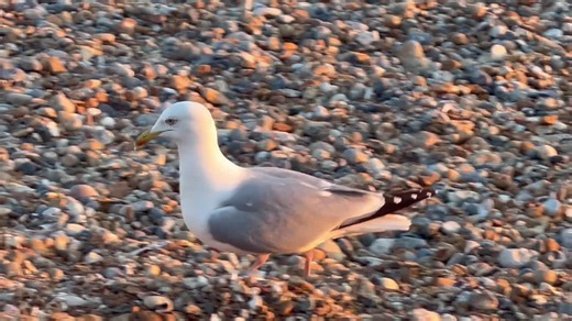Attended brightonSEO for the second time this year! ✨ The way people search has evolved significantly over the past couple of years, and I can’t help but geek out over how it’s changing the way… | Ishwari Patil