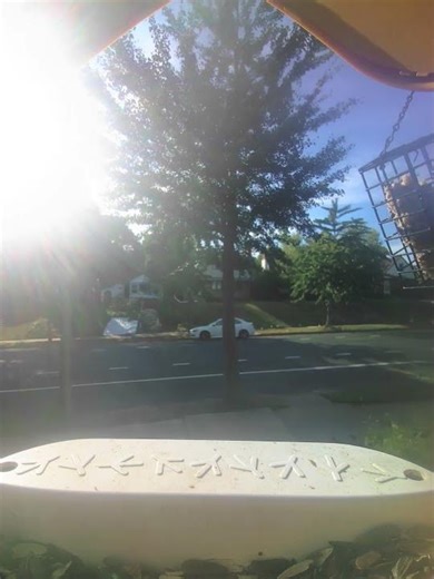 House Sparrow at the Feeder #birds #birdingparadise #birdfeeder #shorts