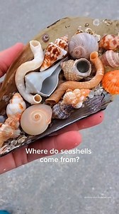 8.8K views · 267 reactions | SHARE this if you learned something new!...