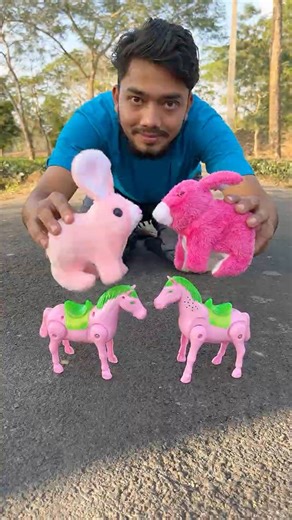 Remote Control 2 Horse And Rabbit Unboxing 😜