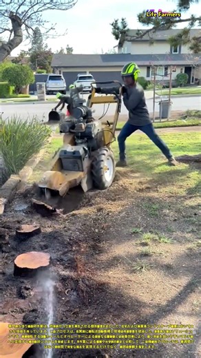 機械式切り株粉砕除去プロセス