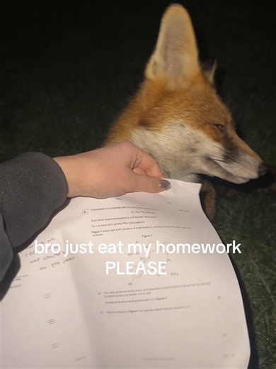 Struggles with Chemistry Exams