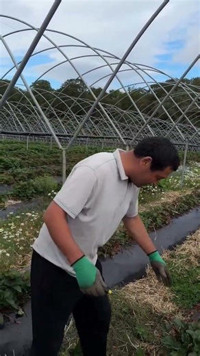 Angilyadaqulipnay#uzbekistan #instagram #europe #shorts #funny #youtube #rekkkk #reels #ytshorts #yt