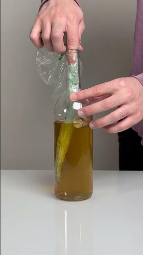 HOW TO REMOVE STUCK CORK