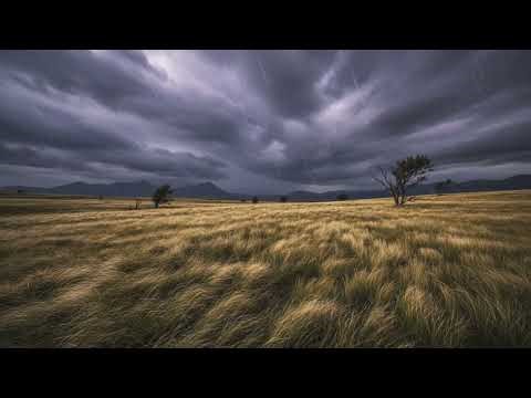 Rain Sounds on Garden Path Relaxing Rain Noise with Ivy Ambience for Sleep & Focus