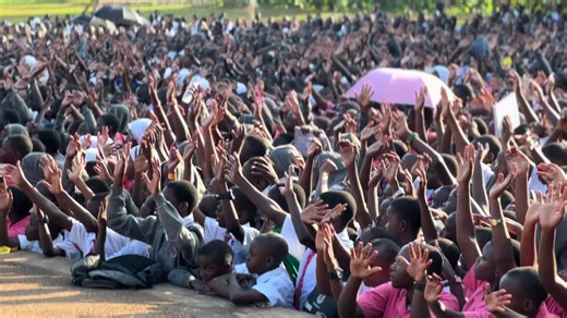 A School Full of Life: Learning Through Doing