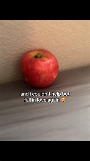 peak 🥹 #za #funny #xyzbca