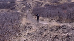 ✓ Direct pricing. ✓ Lifetime Warranty. ✓ 23-point custom setup. ✓ Love it or return it. | Ari Bicycles