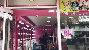 SÁBADO 🐶🐾😻💓 en GLAMOUR PETS CHICÓ ALTO🏩💕 | Glamour Pets