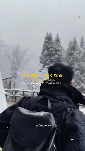 Exploring Japanese Culture Through Visual Storytelling