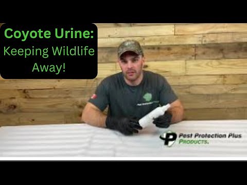 Coyote Urine-Keep Wildlife Away!