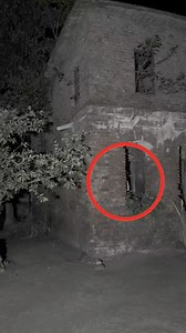 #paranormalactivity | The Ghost Skill