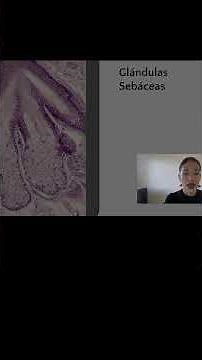 Dermis: Capas de la Piel Curso Online #piel #biologia #pielperfecta