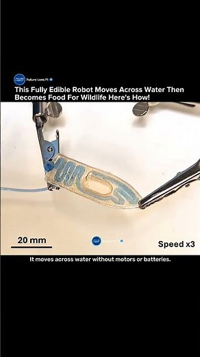 Scientists Created Edible Robots That Swim and Then Become Food #robot #ecology #science