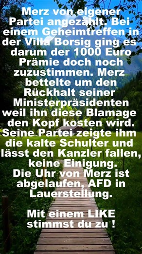 Merz Blamage #politik #afd , #shorts , #shortsfeed, #shortvideo, #foryou, #fyp ,#short ,ä#deutsch