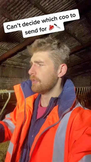 Na she s to small to go yet #fyp #foryou #cow #coo #steak #juicy #night #joke #dinner #youngfarmer #2k22 #agriculture | Kevin Roberge | Facebook