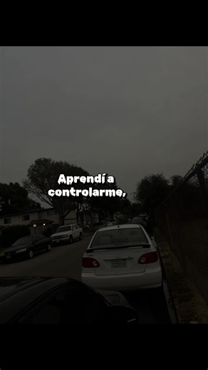 Carrizal (@carrizal805)’s videos with sonido original - Carrizal