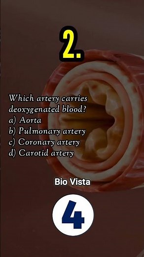 5 Questions on Body Fluids and Circulation | Class 11 Biology | Bio Vista
