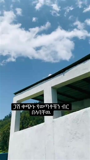 ‏#creatorsearchinsights