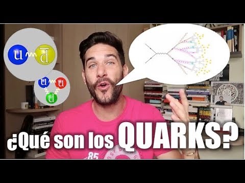 What are QUARKS?