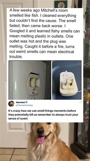 Mitchell was beating the fish