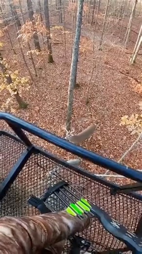 When Deer Hunting Gets Dangerous
