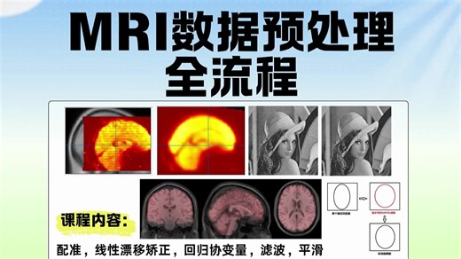 MRI数据预处理全流程（二）