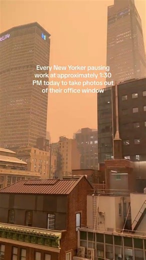 newyorkintern nycintern intern internship corporateintern... #Shorts #stephaniedchen