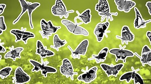 The butterfly effect