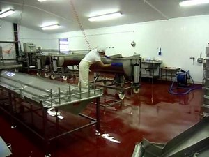 Soft cheese production at Carol and Simon Weaver Cotswold Organic Dairy, using tipping vats