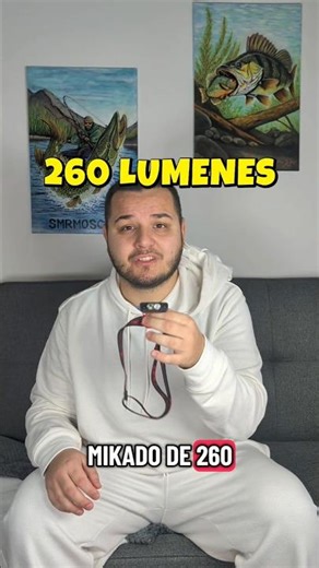 linterna frontal 260 lumenes