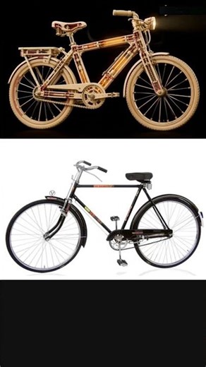 Asian Bicycle - Pedal Powered Engineering Masterpiece 🚲