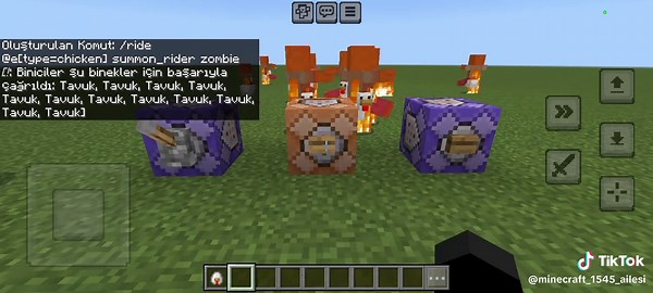 @kardelenler edit #MINECRAFT #boralo #kesfet #fyp #command #commandblock #bobby1545 el hareketi @1545 Ailesi @1545 Ailesi @1545 Ailesi