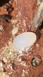 Finding Agates | Blue Light Gemstones