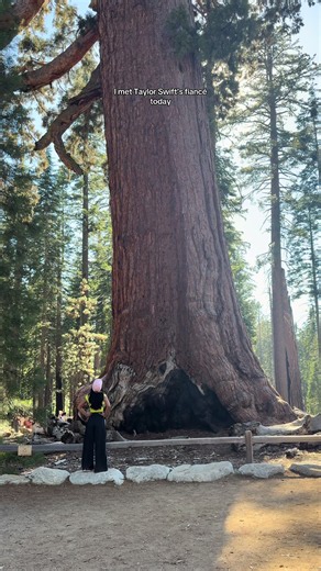 Impressive #redwood #nature #beauty #hiking #travel | taylor swift's