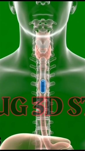 Medicines Journey Inside Body. 3D Ingestion.Drug 3D Studio.