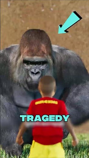 Why They Had to Shoot the Gorilla 🦍