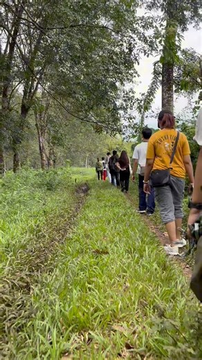 BMS 2km Transect Walk for Field Observation along Musuan Hill | Thevie Gwyneth Deligero Taganas