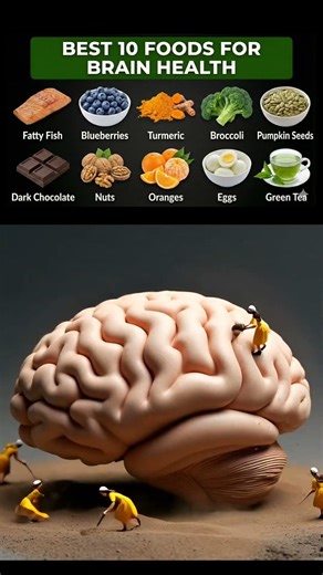 Brain Health| Top 10 Foods for Brain| Foggy Brain|Sharp Memory