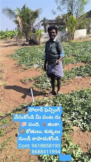 #ksr solar system#15 kv solar machine#40wat solar panel#30ah amaron battery#stand#cont:9618858190