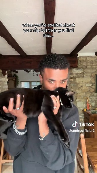 no one talks about how hard this is😭 #fyp #cat #cats #catsofttiktok #catlover