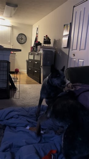 kevintbarry (@kevintbarry)’s videos with original sound - kevintbarry