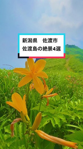 佐渡島の絶景4選🌿 佐渡島でしか見られない景色を覗いてみてください #佐渡#佐渡島#おすすめスポット#TikTok教室#絶景スポット