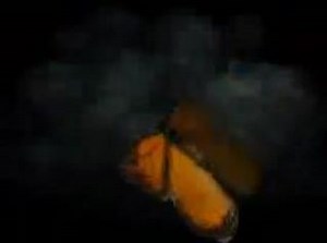 Карлос Кастанеда - 1