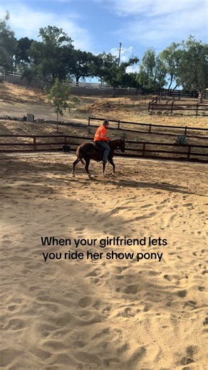 Girlfriend's Show Pony Ride Experience